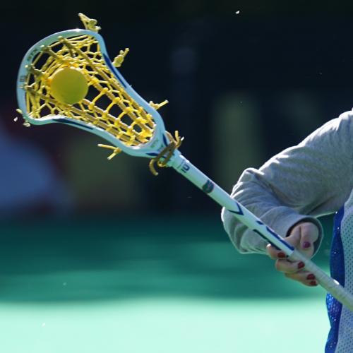 lacrosse stick
