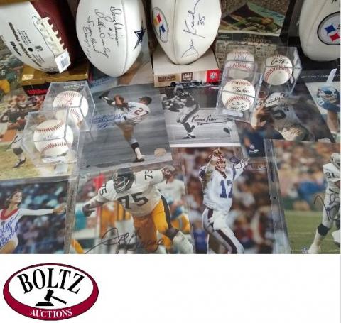 Auction items and Boltz logo